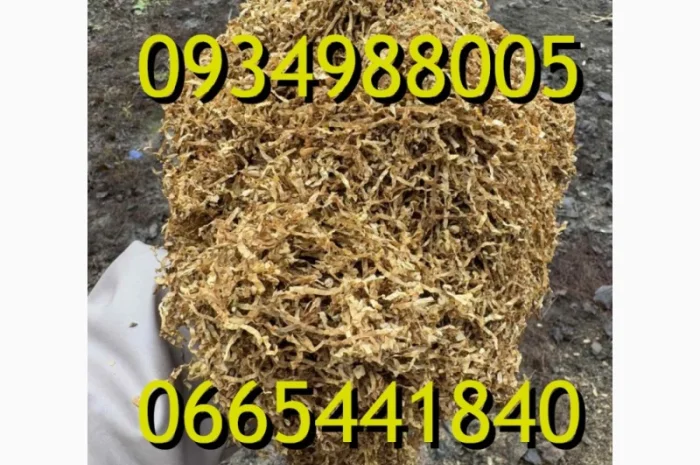 Тютюн Опт та Роздріб Гавана Дюбек Вірджинія Руно Голд Вінстон Кап Блек Махорка Парламент- фото № 1