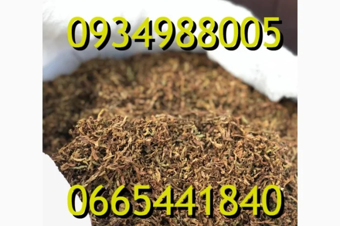 Тютюн Опт та Роздріб Гавана Дюбек Вірджинія Руно Голд Вінстон Кап Блек Махорка Парламент- фото № 9