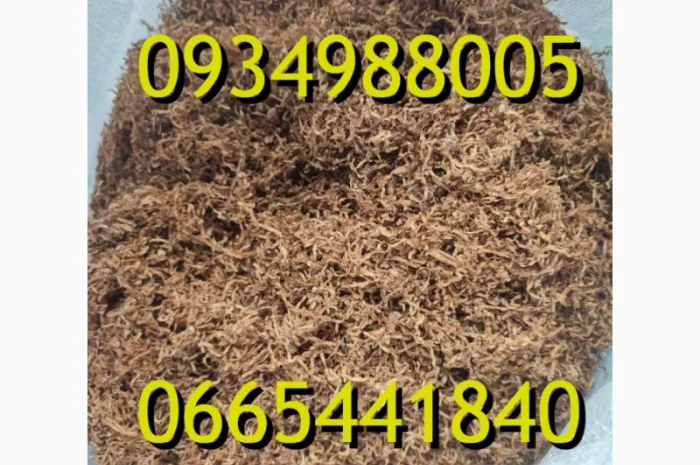 Тютюн Опт та Роздріб Гавана Дюбек Вірджинія Руно Голд Вінстон Кап Блек Махорка Парламент- фото № 2