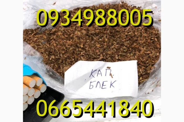 Тютюн Опт та Роздріб Гавана Дюбек Вірджинія Руно Голд Вінстон Кап Блек Махорка Парламент- фото № 6