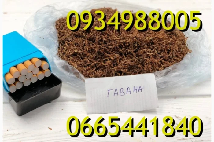 Тютюн Опт та Роздріб Гавана Дюбек Вірджинія Руно Голд Вінстон Кап Блек Махорка Парламент- фото № 7