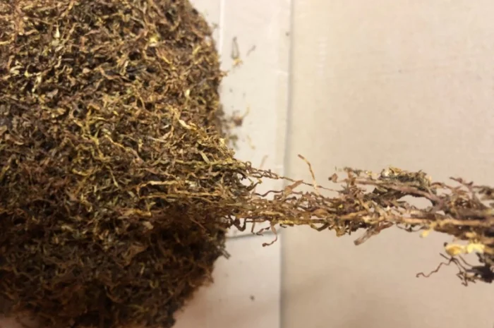 Продам ТАБАК для сигарет 1 кг ,  Отличного Качества- фото № 4