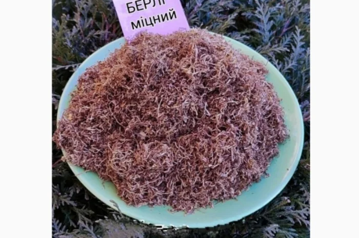 Тютюнець для самокруток. Продаж від 100 грам- фото № 5