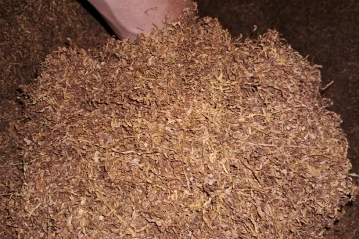 Тільки Оптовий продаж- фото № 3