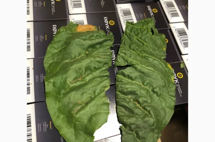 Мальбро Гавана Дюбек Вірджинія Руно Голд Вінстон Кап Блек Махорка Ксанті табак для сигарет 1 кг , Опт- фото № 6