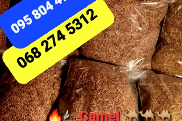 Приємний аромат-Кентукі- фото № 7