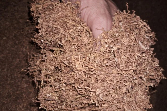 Тільки опт, табак для сигарет 1 кг- фото № 2