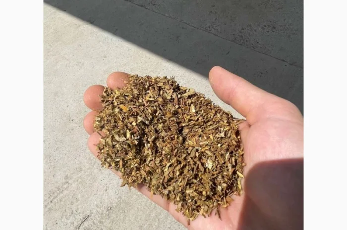 Берлі, Вірдж Голд, Капітан Блек, Гавана, Міленіум, Золоте Руно, Кентукі- фото № 6