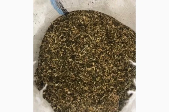 Берлі, Вірдж Голд, Капітан Блек, Гавана, Міленіум, Золоте Руно, Кентукі- фото № 3