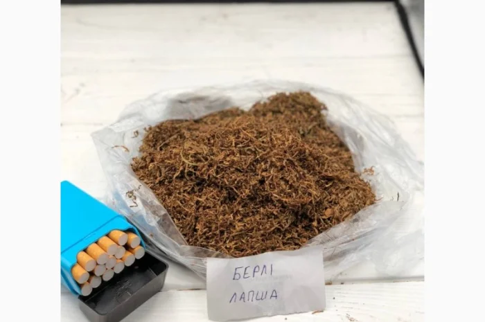 Берлі, Вірдж Голд, Капітан Блек, Гавана, Міленіум, Золоте Руно, Кентукі- фото № 15