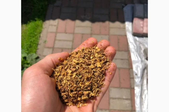 Берлі, Вірдж Голд, Капітан Блек, Гавана, Міленіум, Золоте Руно, Кентукі- фото № 8