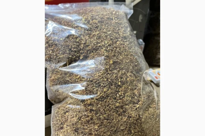 Парламент- фото № 9