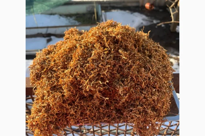 Парламент- фото № 1