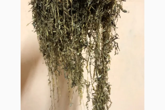 Продаю Качественный Натуральный Табак в Розницу и Оптом- фото № 11