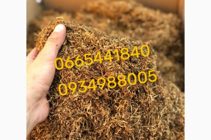 Якісний тютюн Парламент Голд Берлі Вірджинія Руно Вінстон Кемел Мальбро Гавана Є ОПТ- фото № 1