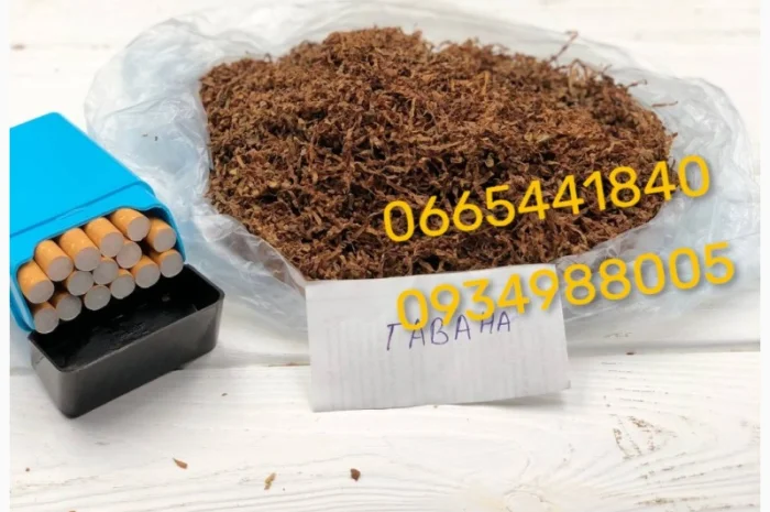 Якісний тютюн Парламент Голд Берлі Вірджинія Руно Вінстон Кемел Мальбро Гавана Є ОПТ- фото № 11