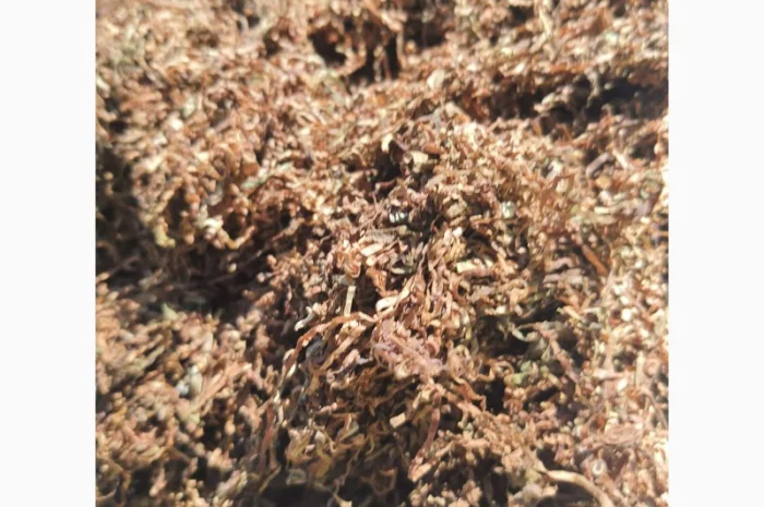 Дешевый импортный табак!Бесплатная доставка- фото № 1