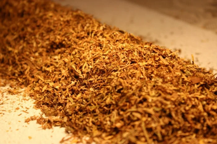 Фабрычный Табак Прилуки, Winston, Camel- фото № 1