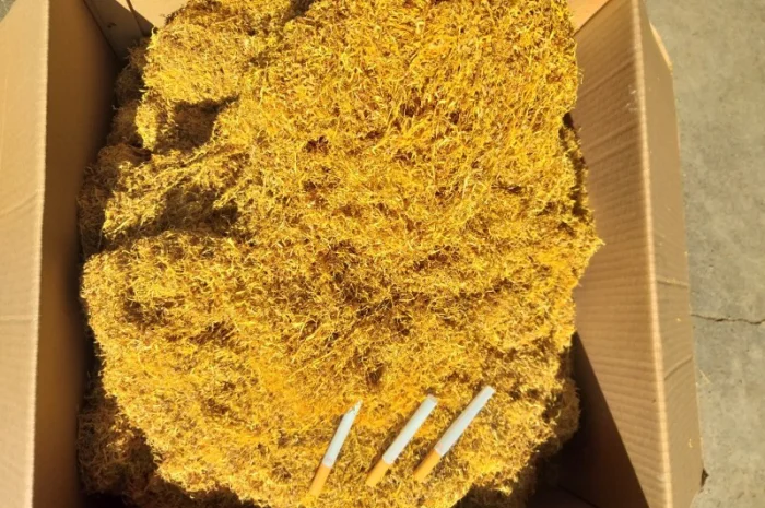 Продам Вирджинию Голд, Гавана Оптом- фото № 5