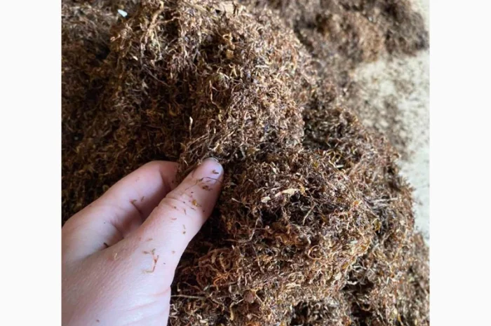 Гарний домашній та імпортний тютюн- фото № 4