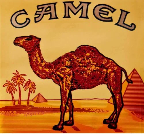 Таьак Фабрика PHILIPMORIS, Winston, Kent, Davidoff, Camel- фото № 3