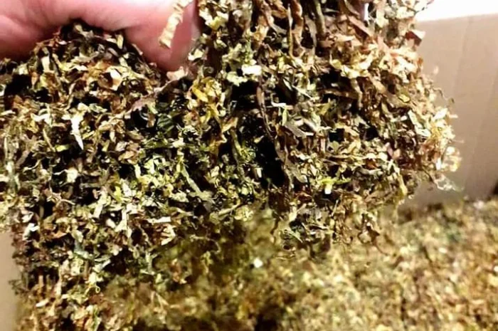 Ротманс, кемел, капитан блек для  самокруток- фото № 3