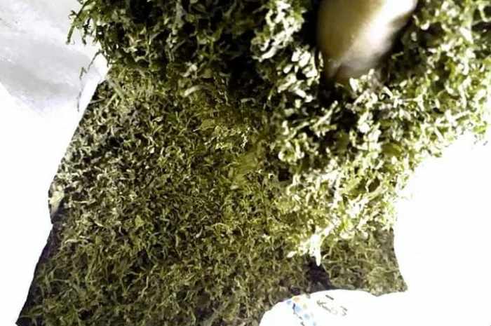 Ротманс, кемел, капитан блек для  самокруток- фото № 5