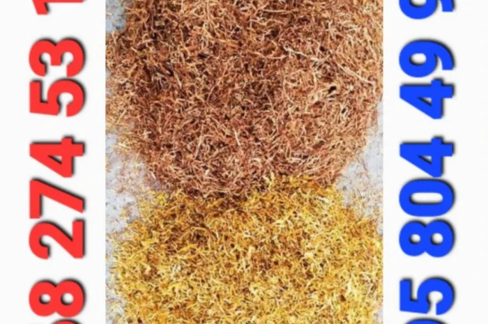 Якісний- фото № 4