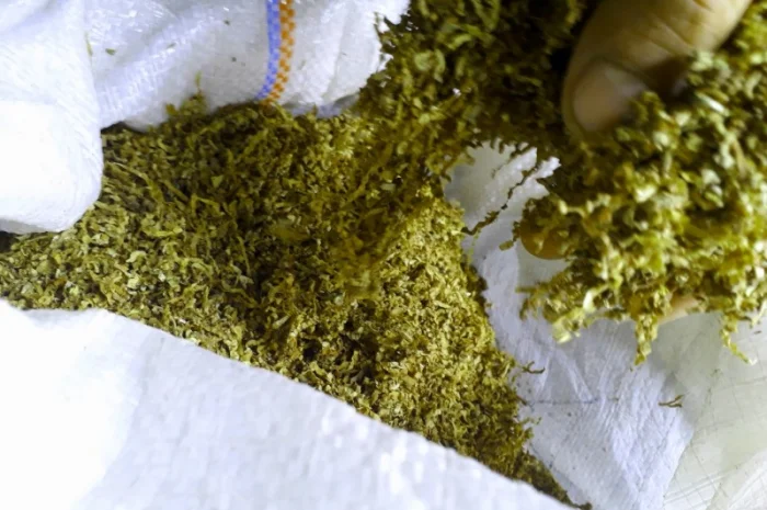 350грн фабричный мальборо, винстон, парламент, кент, капитан блек, голд, золотое Руно для сигарет 1 кг- фото № 8