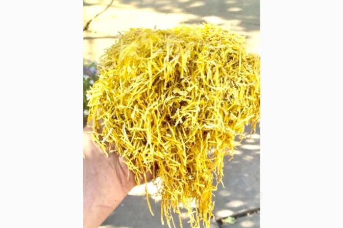 Импортные табаки для сигарет 1 кг ! Вирджиния Голд / Marlboro / Kentucky / Золотое руно / Winston / Kapitan- фото № 1