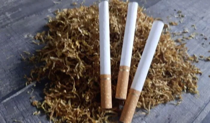 Фабричный заводской табак для  самокруток!!Мальборо, ротманс, кемел, Винстон, ротманс, Давидов- фото № 4