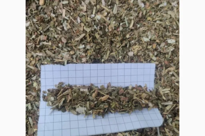 Продам якісний тютюн для  самокруток, оптом і в роздріб, Берлі, Махорка, Вінстон, Капітан Блек- фото № 16