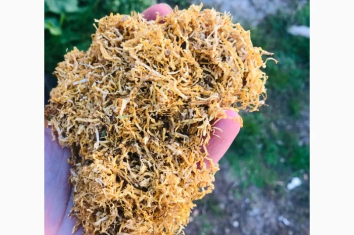 Продам Вирджиния, Берлей по хорошей цене- фото № 1