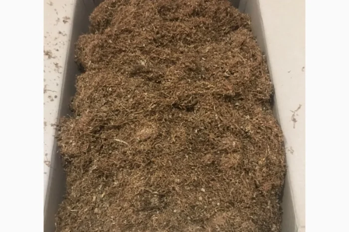 Продам Вирджиния, Берлей по хорошей цене- фото № 5