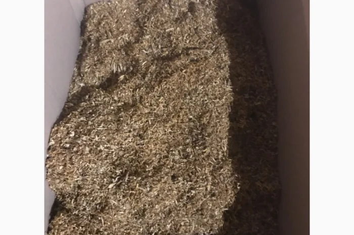 Ферментированный табак БЕРЛИ, ВИРДЖИНИЯ ГОЛД- фото № 3