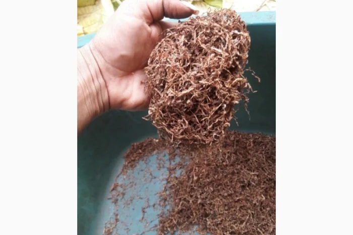 ТАБАК ВИРДЖИНИЯ. Высокое качество гарантирую! ЛАПША, СРЕДНЯЯ КРЕПОСТЬ- фото № 4