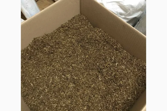 Сорт табака Тернопольский Берли Вирджиния- фото № 2