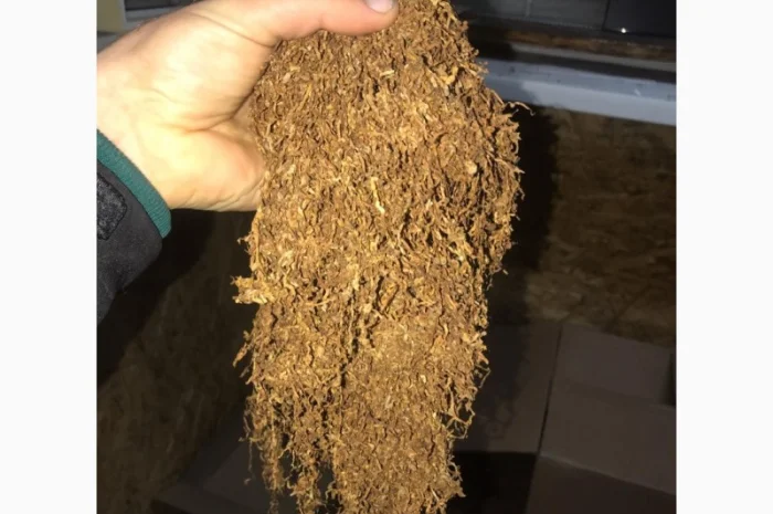 Сорт табака Тернопольский Берли Вирджиния- фото № 3