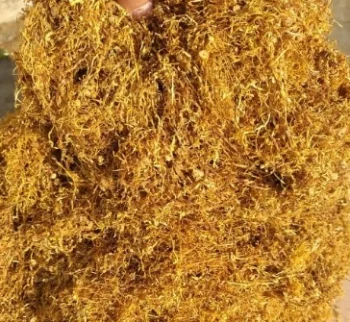 Продам ферментированные табак "Вирджиния GOLD"- фото № 1