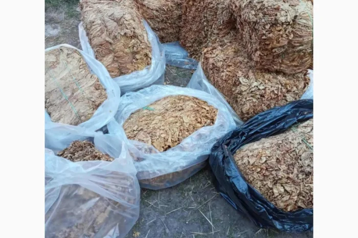 Продам ферментированные табак "Вирджиния GOLD"- фото № 3