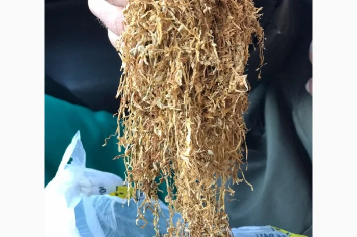 Большой выбор табака- фото № 2