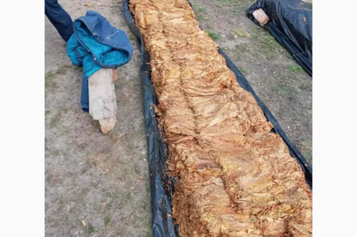 Классный табачок Winston, Венгерский, Вирджиния для  самокруток- фото № 6