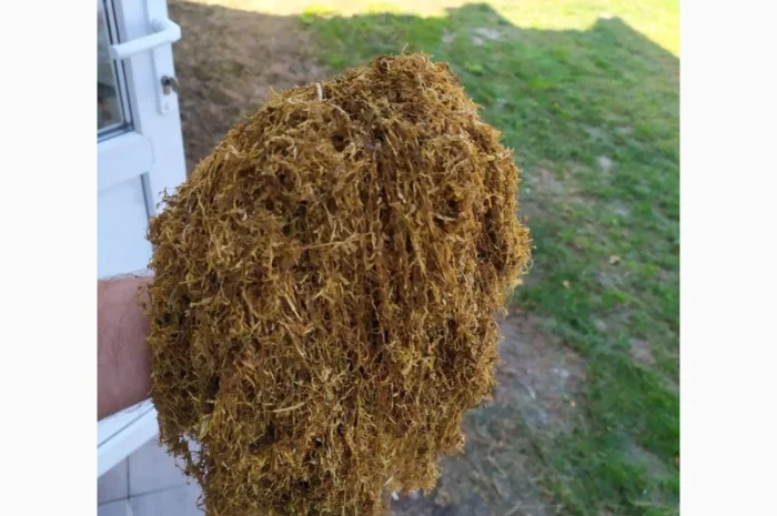 Табак оптом от 10 кг- фото № 6