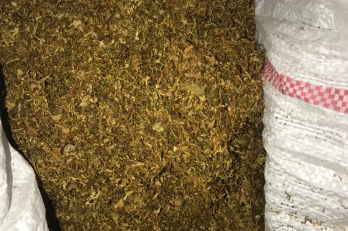 Табак оптом от 10 кг- фото № 9