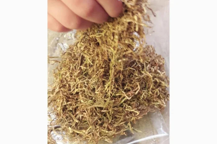 Продам табак  для трубки  импорт Турция Болгария- фото № 1