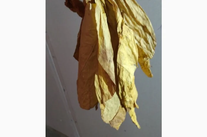 Продам табак  для трубки  импорт Турция Болгария- фото № 4