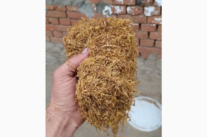 Табак ВИРДЖИНИЯ для трубки- фото № 1