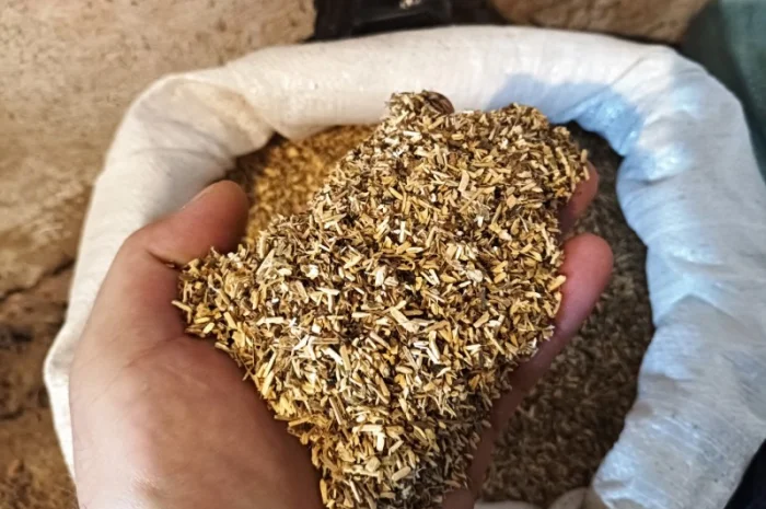 Куплю бадилля з тютюна бадиль стовбур з табака 60 грн кг- фото № 2