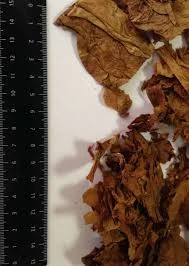 Низкая цена!Реализуем табак разных сортов и разной крепости!Берли Вирджиния Махорка- фото № 1