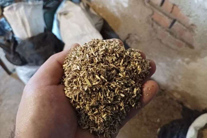 Закуплю бадилля з домашнього табака сільського тютюну бите через д к у- фото № 3